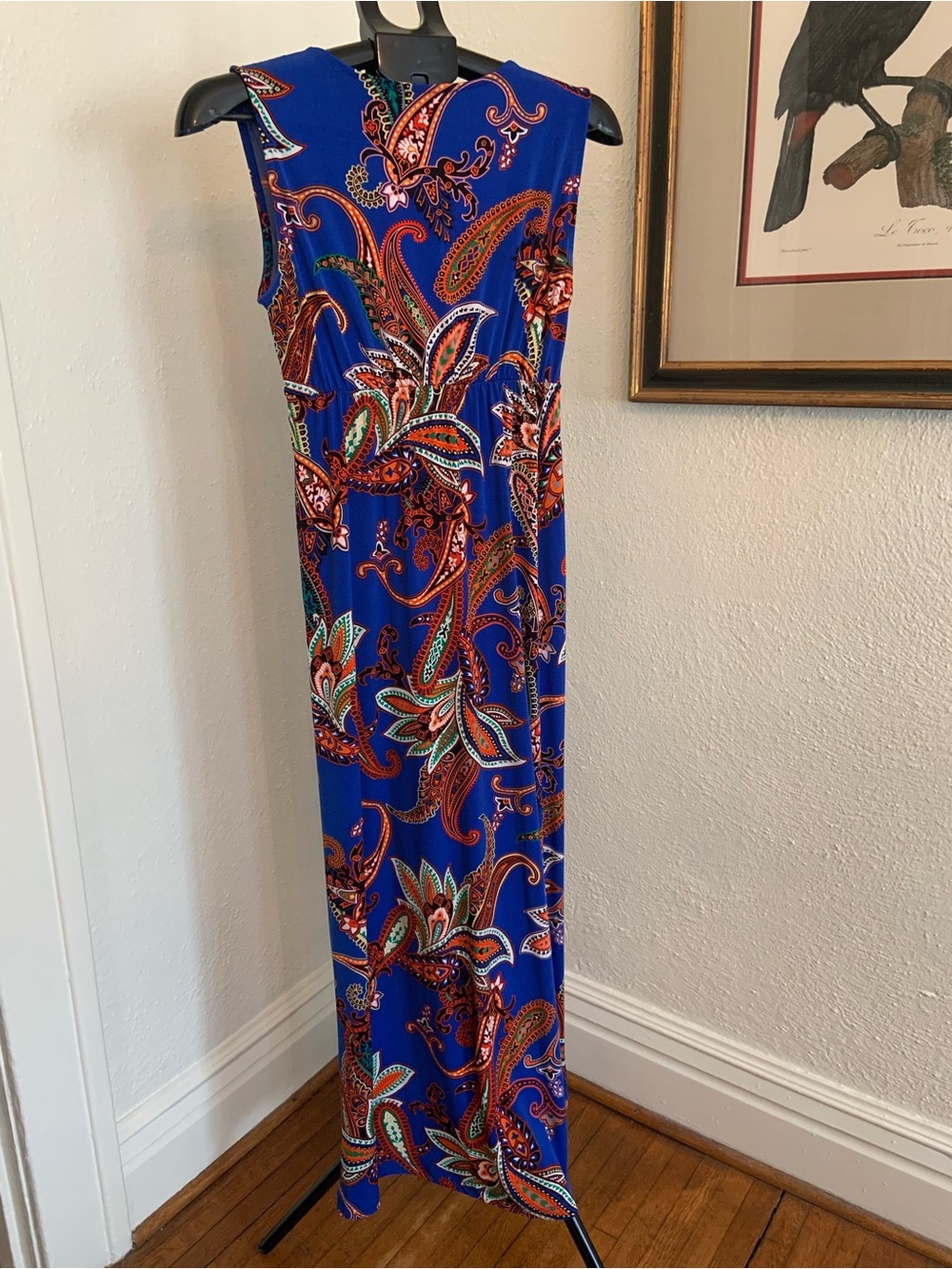 Philosophy Sleeveless Maxi Dress - Picture 4 of 4